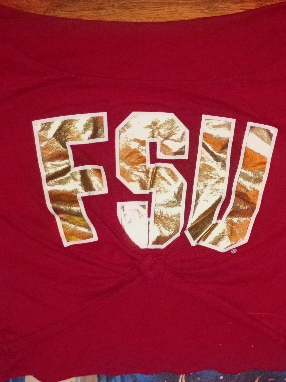 Cute FSU Cropped T-shirt, Excellent Condition